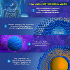 Core Med Science graphic illustrating liposomal absorption technology and delivery