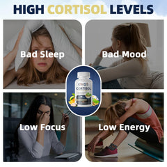High potency 10-in-1 cortisol balance formula capsules