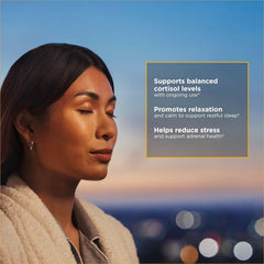 Sleep support scene with a calm night setting