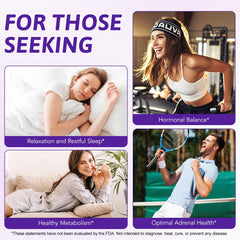 Graphic of ingredients: magnesium, ashwagandha, L-theanine, vitamins C and D3.