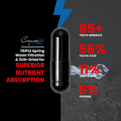 Shilajit powder and capsules display