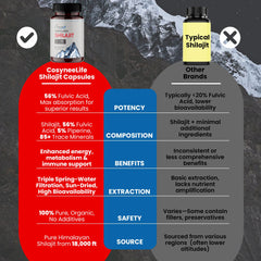 Close-up of Shilajit capsules in hand