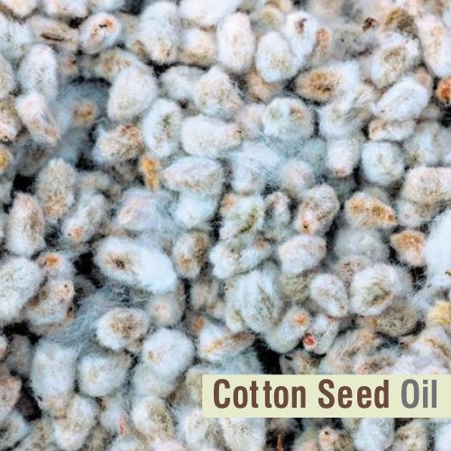 Close-up of Cotton Seed Oil bottle with label