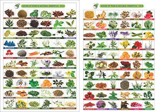 Extraction method: solvent extraction of cotton seed oil