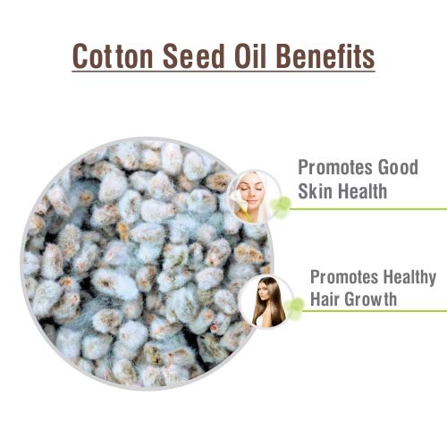 Gossypium herbaceum plant image representing cotton seed oil