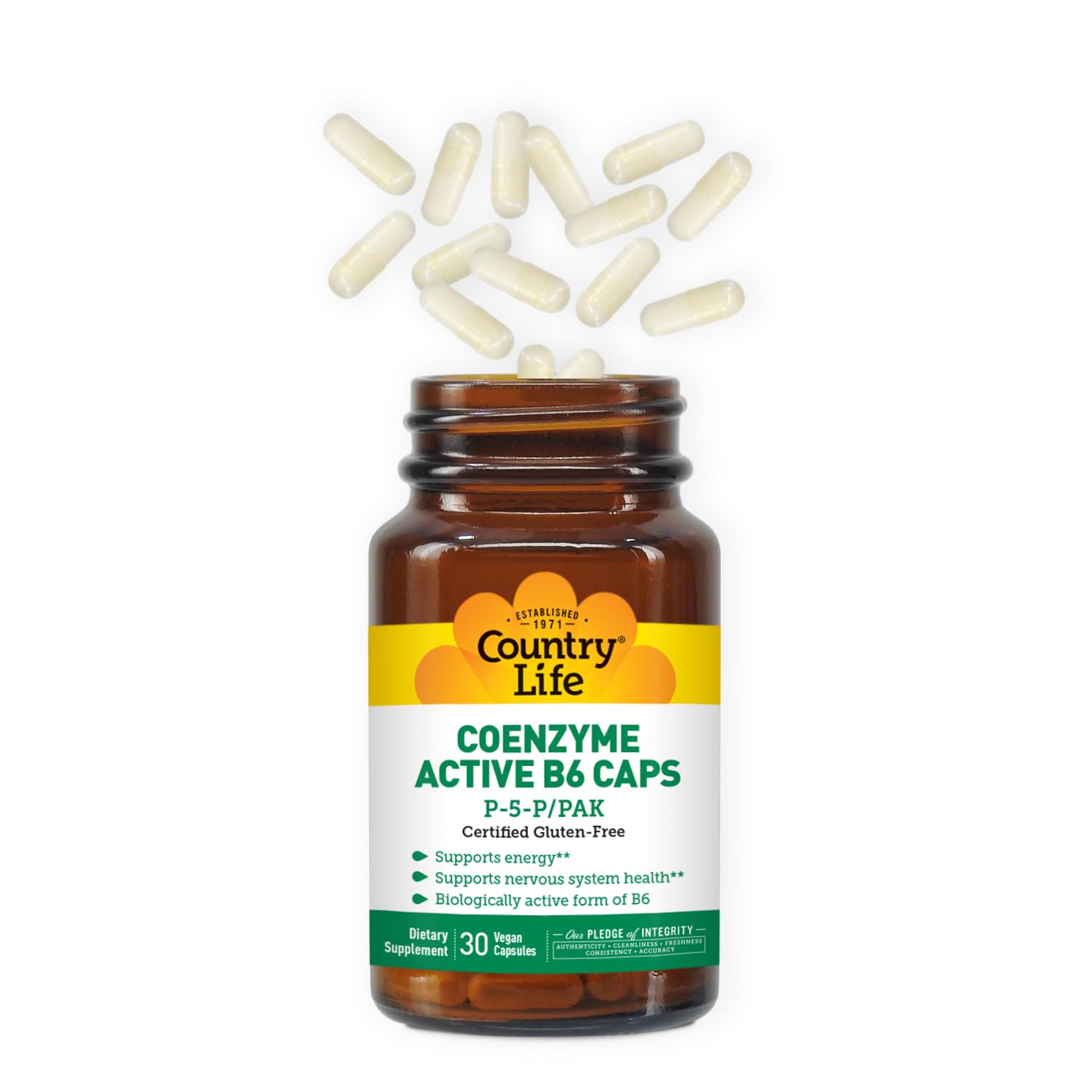 Back view of Country Life Coenzyme Active B-6 bottle showing supplement facts