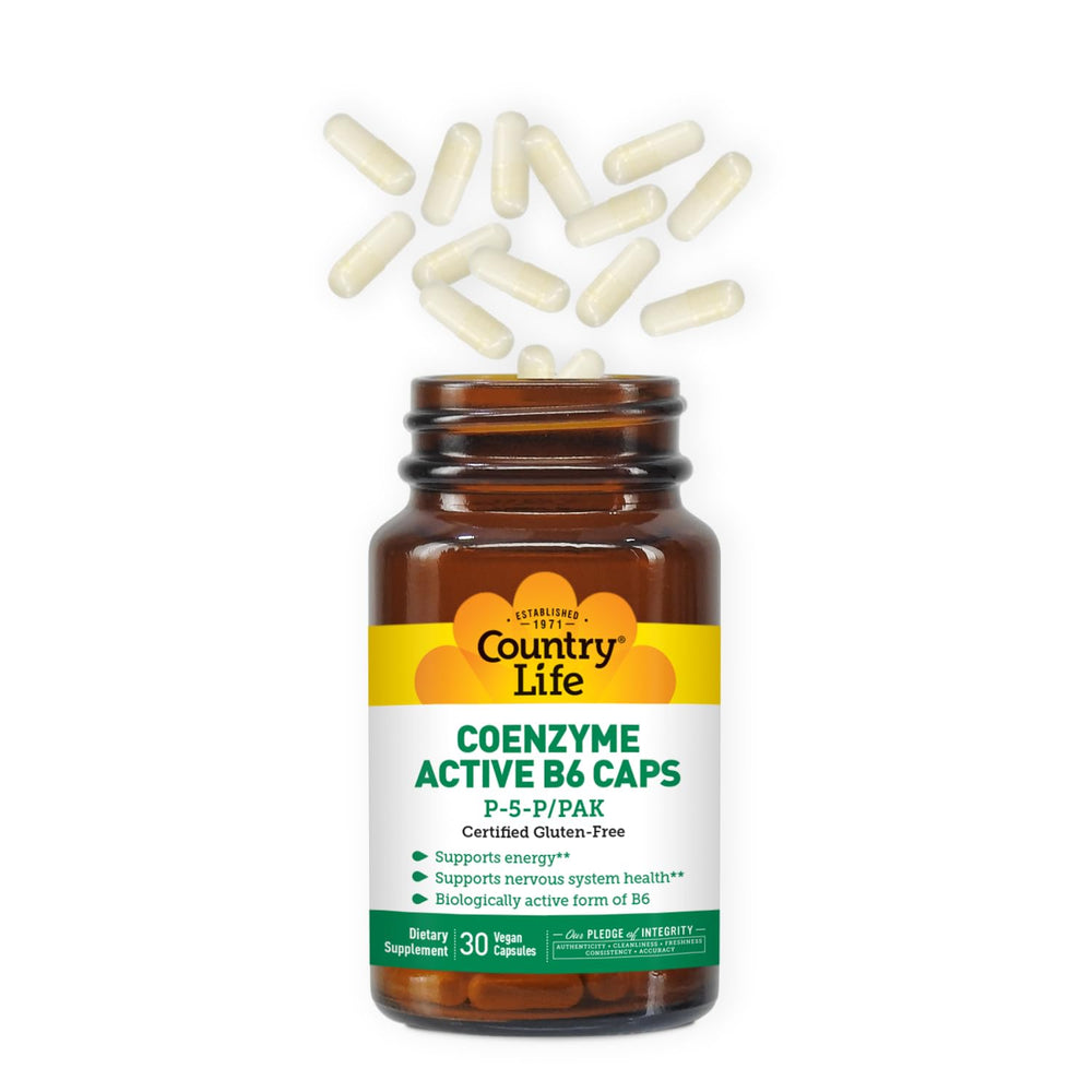 Back view of Country Life Coenzyme Active B-6 bottle showing supplement facts