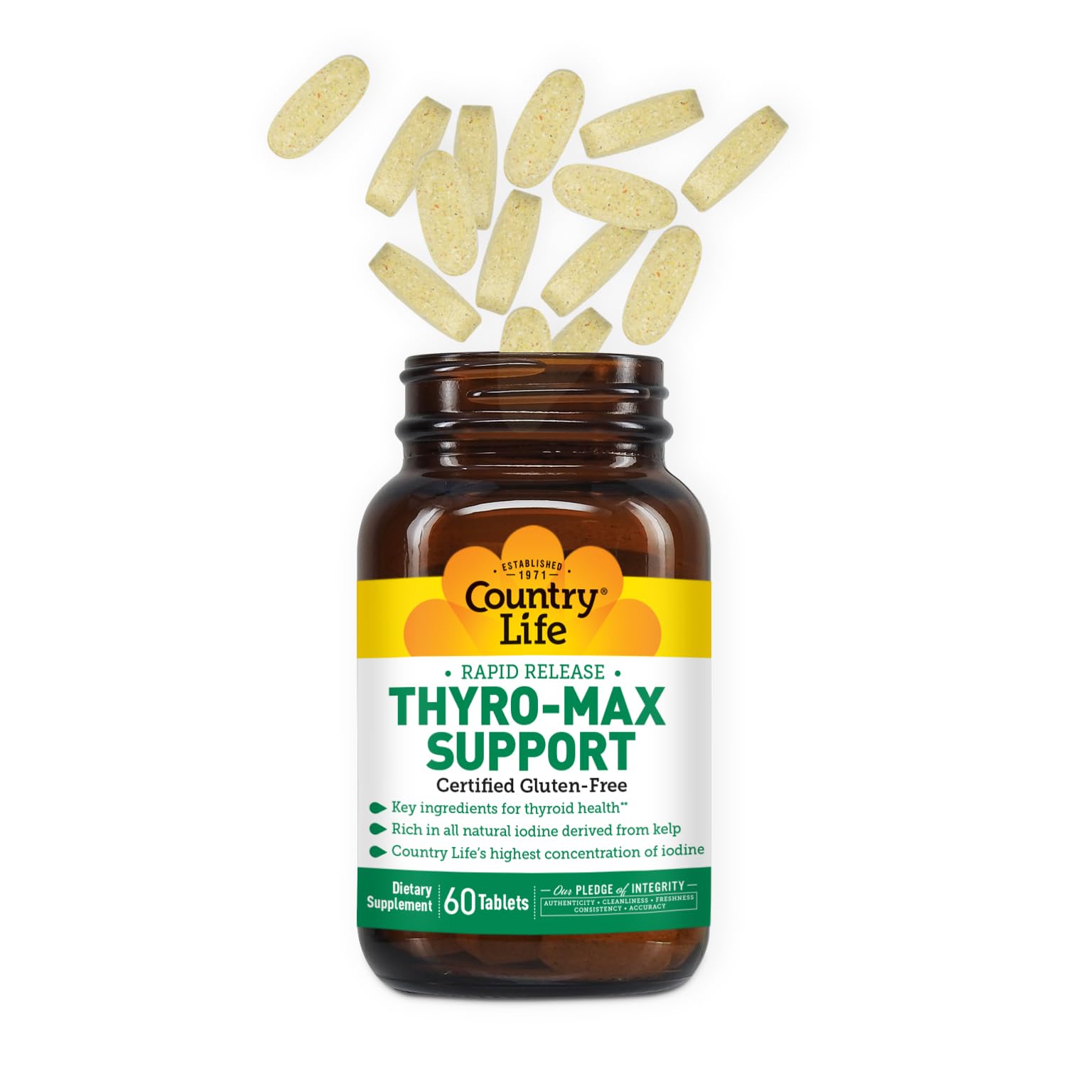 Rapid Release delivery system illustration for Thyro-Max Support
