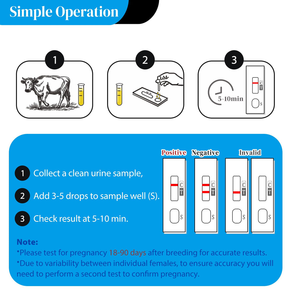 Pregnancy test results appearing in 5–10 minutes