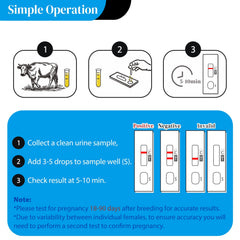 Pregnancy test results appearing in 5–10 minutes