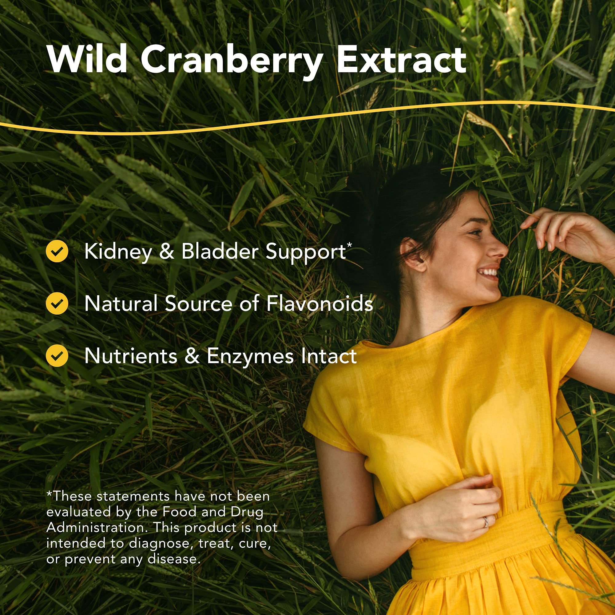 Raw hand-picked cranberries used in Cran Flush