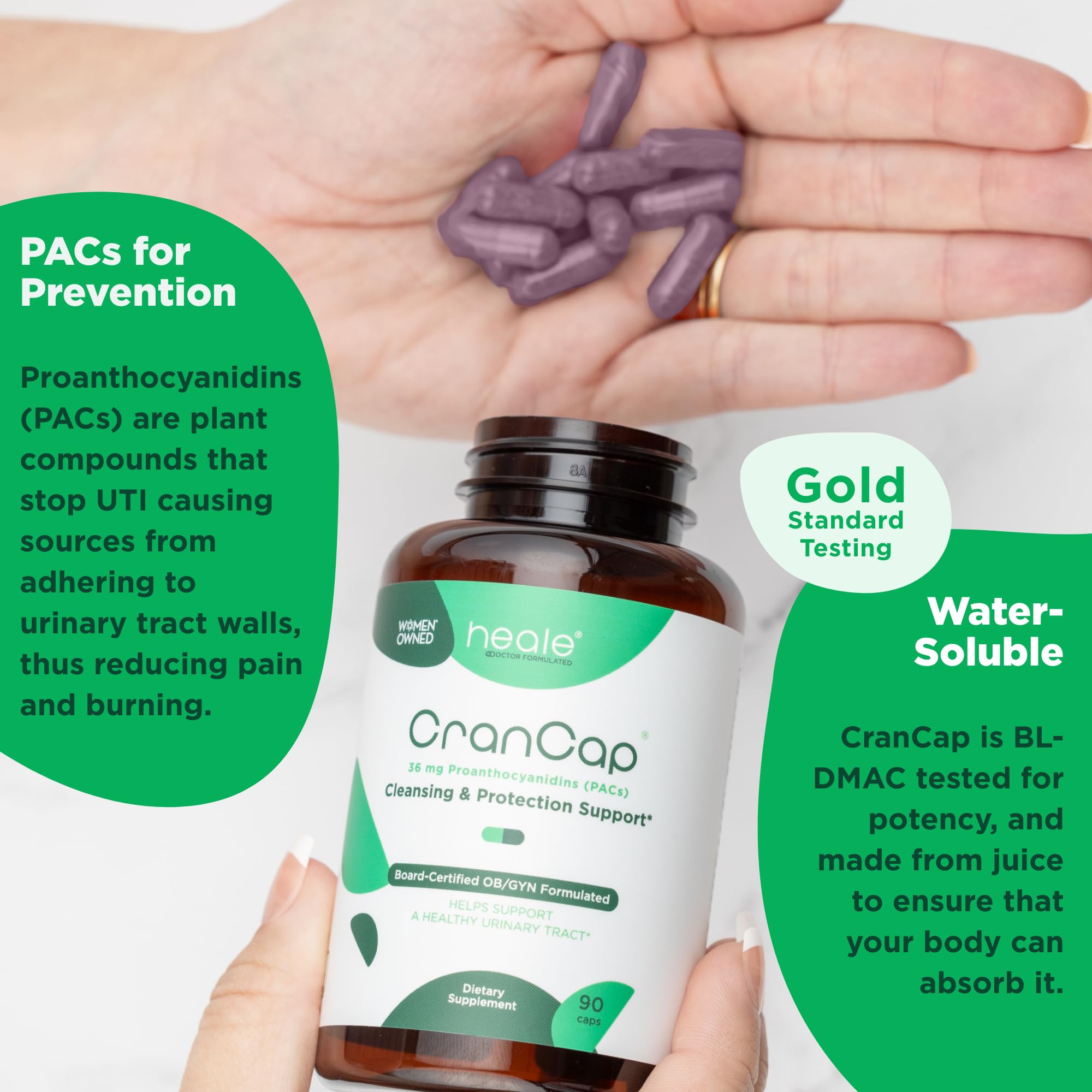 Graphic showing 36 mg PACs in CranCap