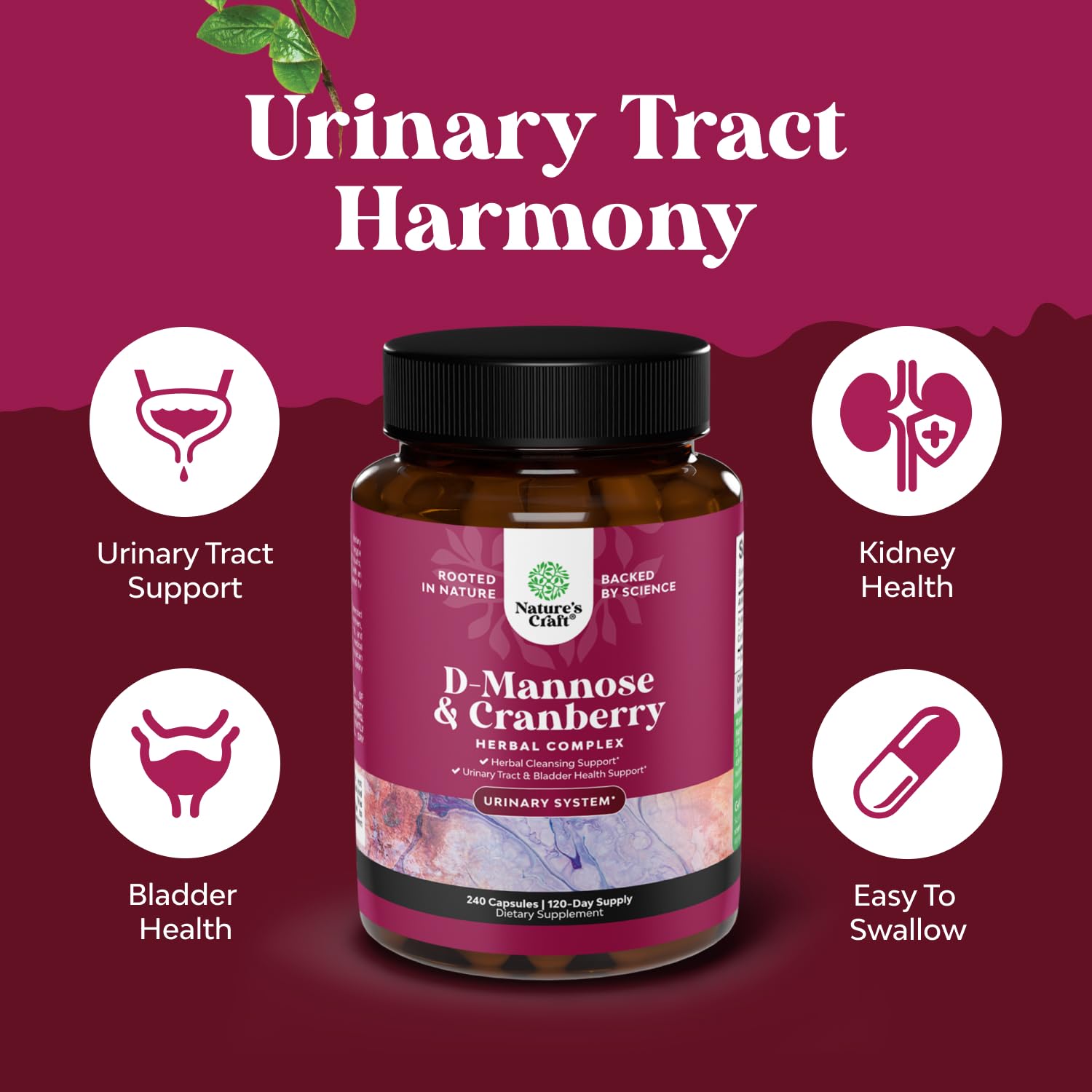 Ingredients panel showing D Mannose and cranberry extract