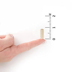 Graphic showing Pacran cranberry for urinary support