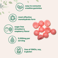 Nutrition facts panel and ingredients on Creatine Monohydrate Gummies bottle