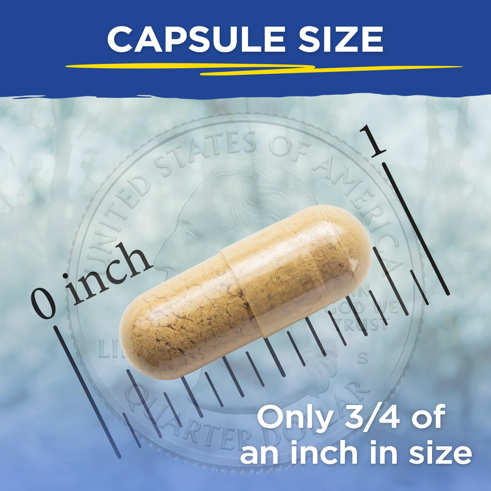 90-capsule bottle of Vital Planet Liver Care