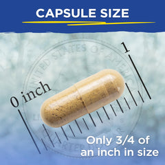 90-capsule bottle of Vital Planet Liver Care