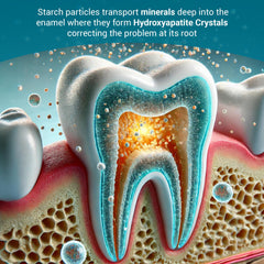 Applying CrystLCare strip to a sensitive tooth