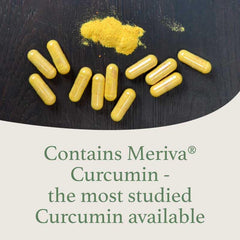 Meriva curcumin phytosome technology concept illustration