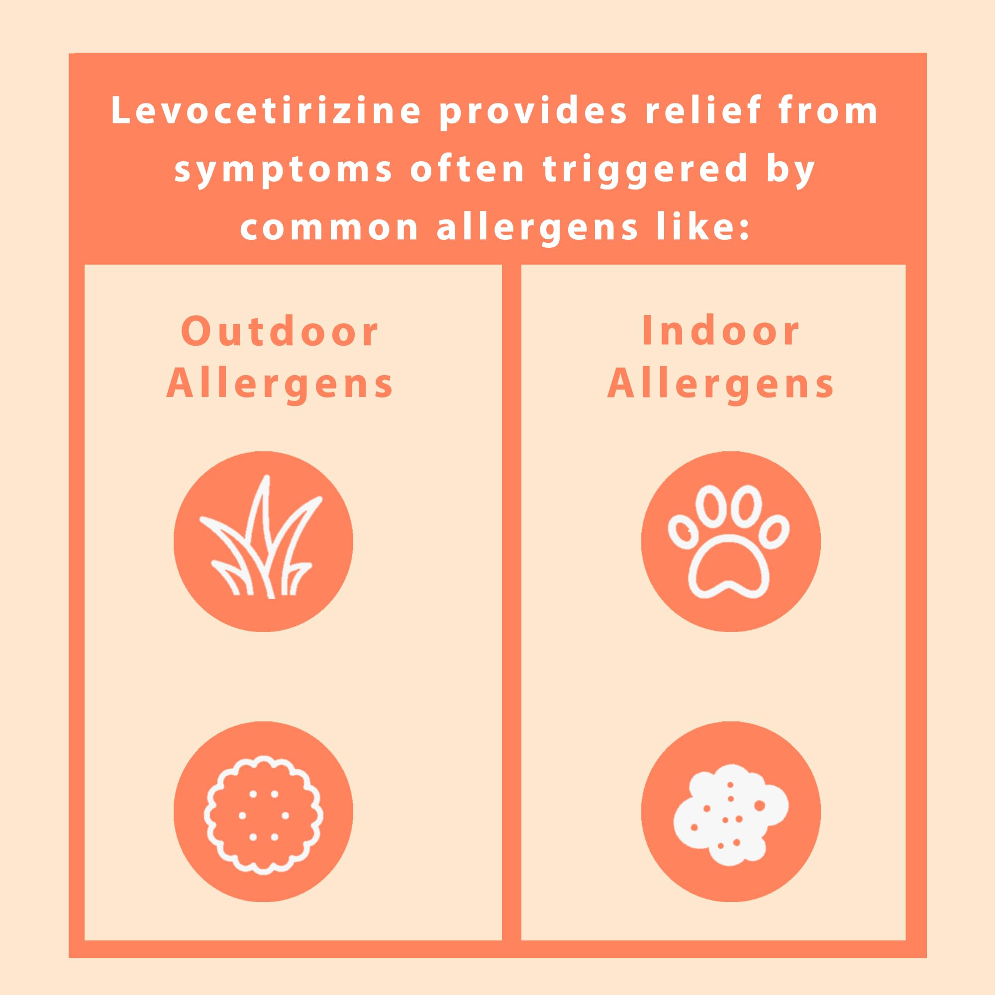 Close-up of Curist Levocetirizine 5 mg tablets showing precise 5 mg dose