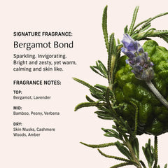 Cashmere woods base note in CYKLAR fragrance