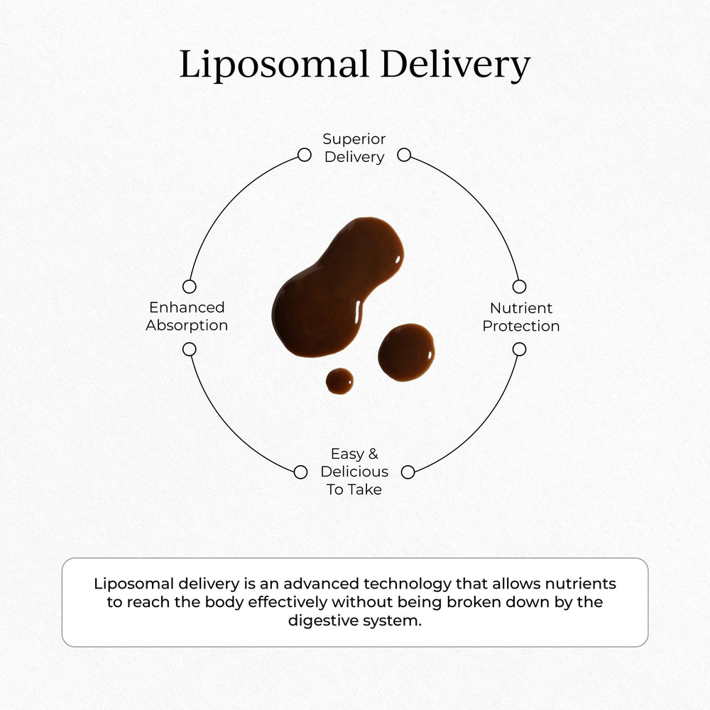 CYMBIOTIKA Longevity Mushrooms smoothie-mix image illustrating versatile use in shakes.