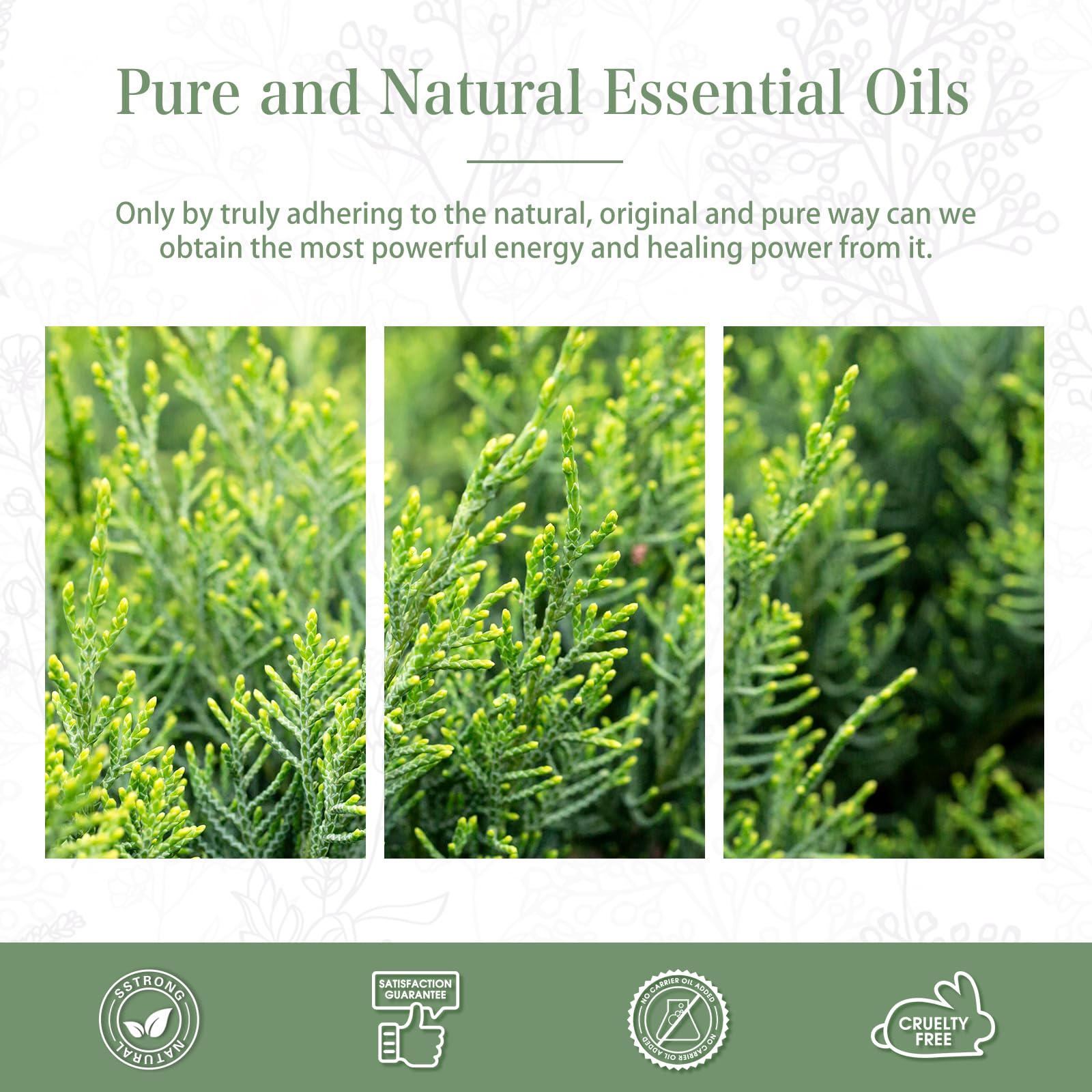 DIY soap using Cypress essential oil fragrance