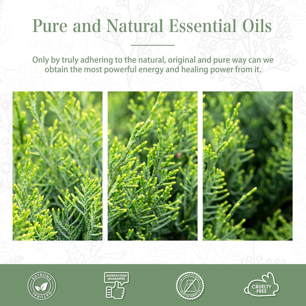 DIY soap using Cypress essential oil fragrance