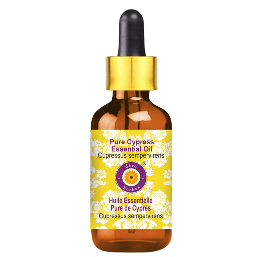 Cypress essential oil 5ml in amber glass bottle with dropper