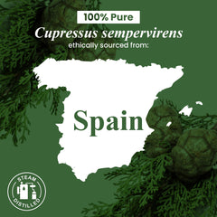 Cypress essential oil fragrance suitable for candles and soaps