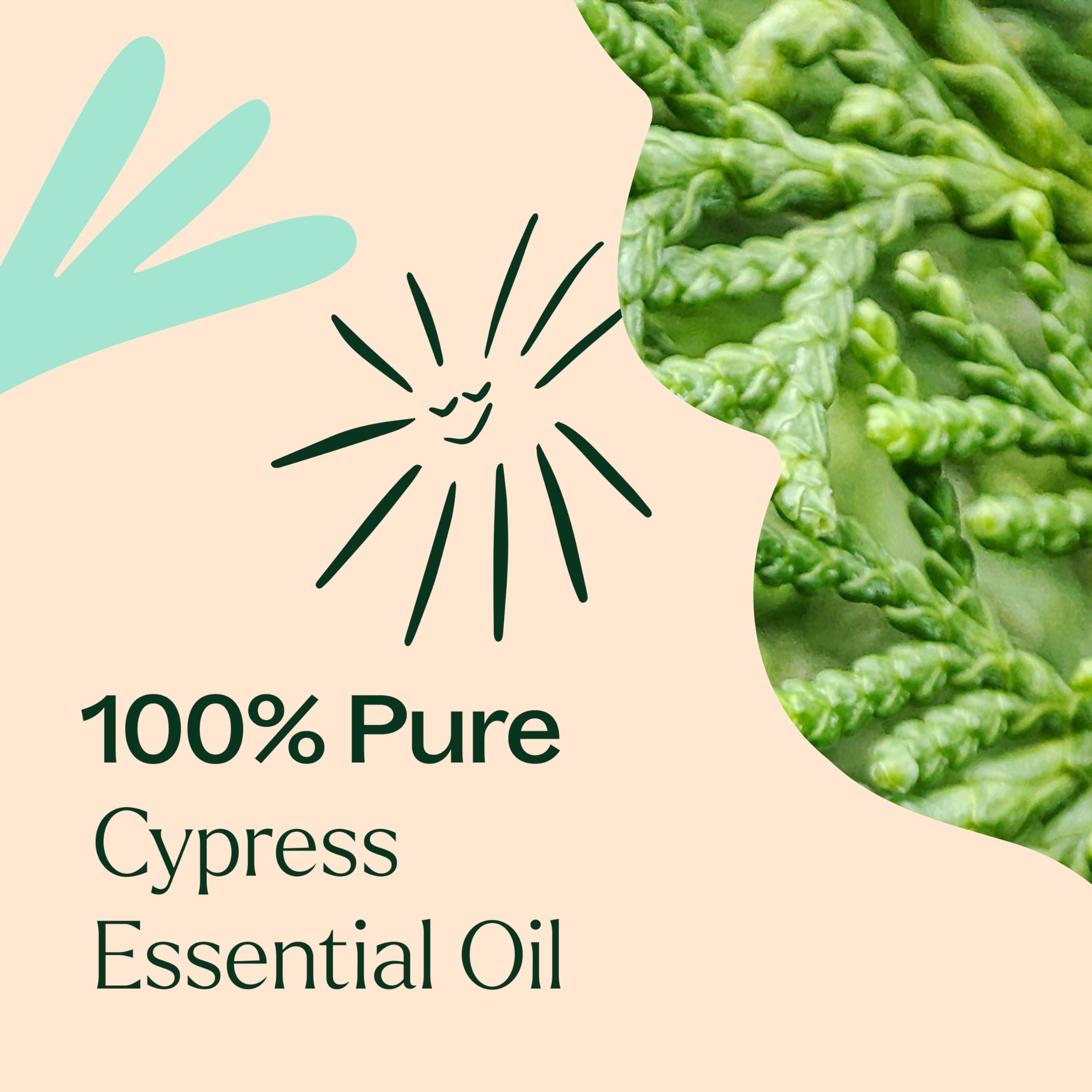 Cypress oil used for emotional support and relaxation