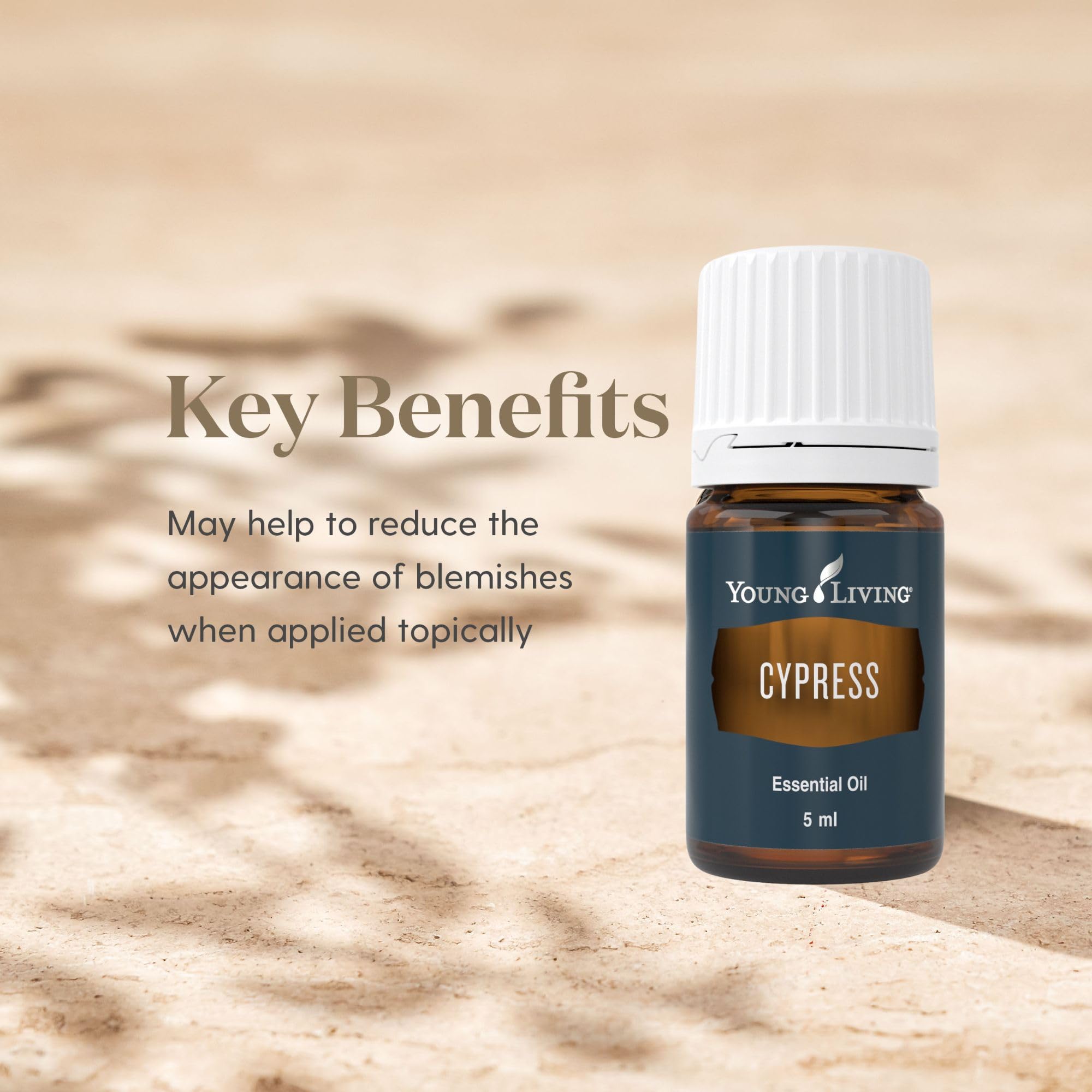 Young Living Cypress Oil in aromatherapy creates grounding, relaxing atmosphere.