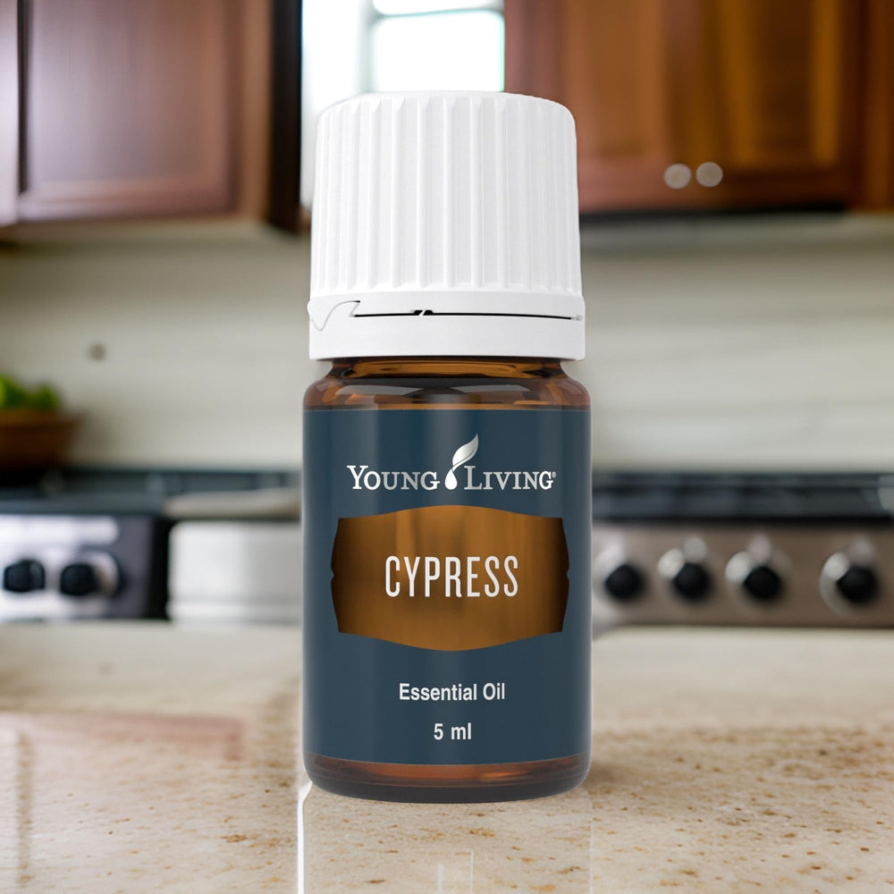 Cypress Oil topical application with carrier oil provides soothing care.