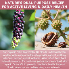 Relief for cysts and fibroids with poke root castor oil massage on skin