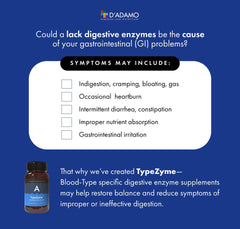 Graphic illustrating digestive support for Blood Type A