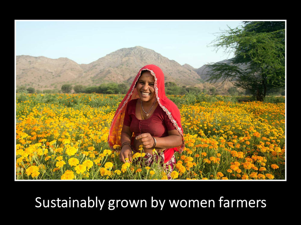 DAANA Mustard Oil from sustainable family farms