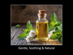 DAANA Peppermint Essential Oil dropper closeup for precise aromatic blending