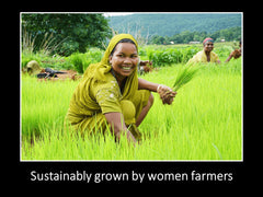 DAANA Sunflower Oil from sustainable farming, cruelty-free sourcing
