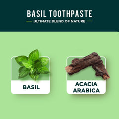 Pack of three 100ml Dabur Herbal Toothpaste Basil on display