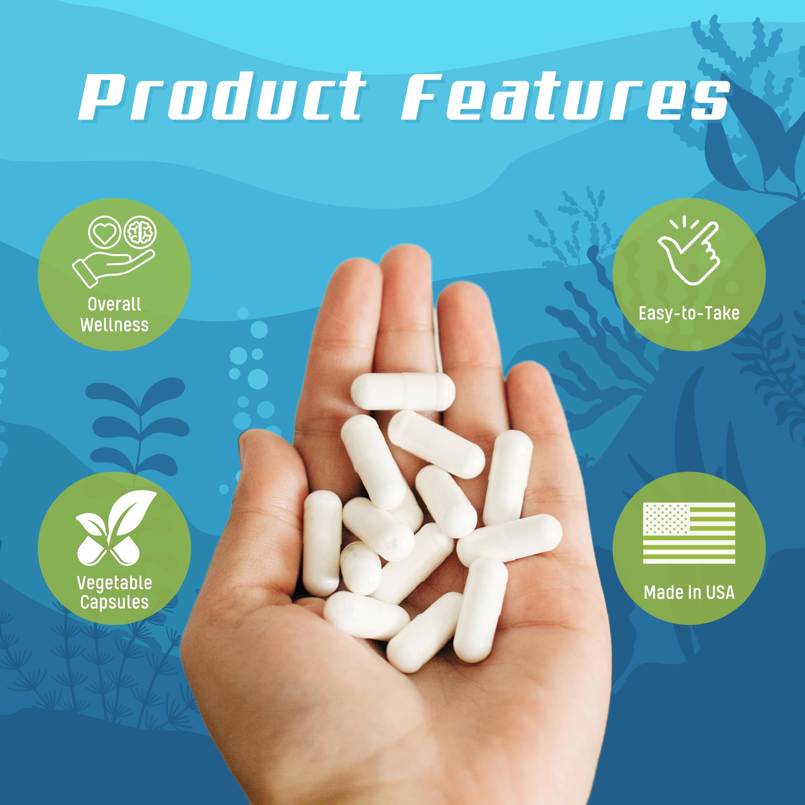 Okinawa coral reef illustration representing marine-grade calcium