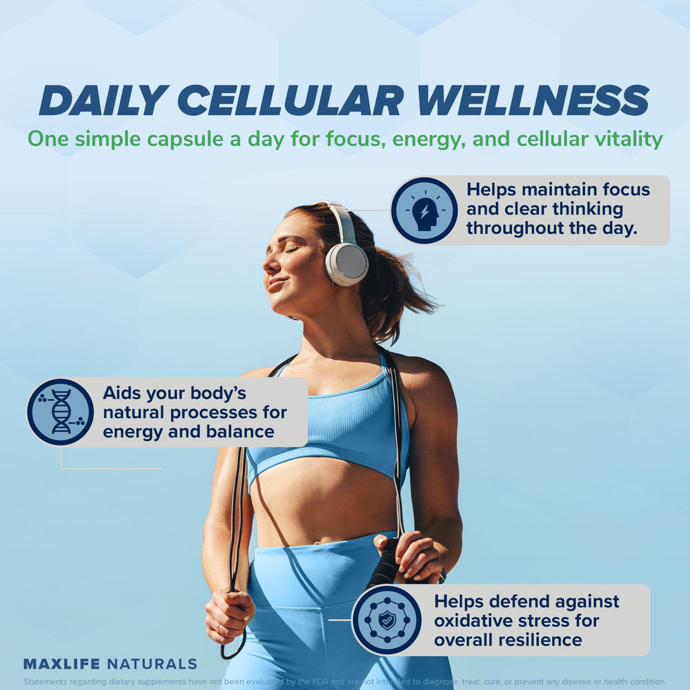 Daily capsules for brain health and focus