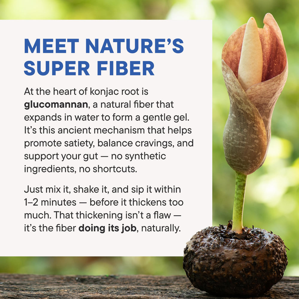 Illustration of improved gut health from FeelFull prebiotic fiber