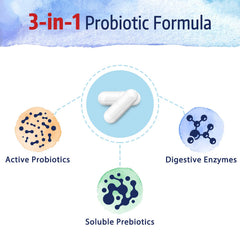 Daily probiotic 30 veggie caps
