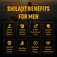 Daily serving showing 2 capsules delivering 1000mg Shilajit