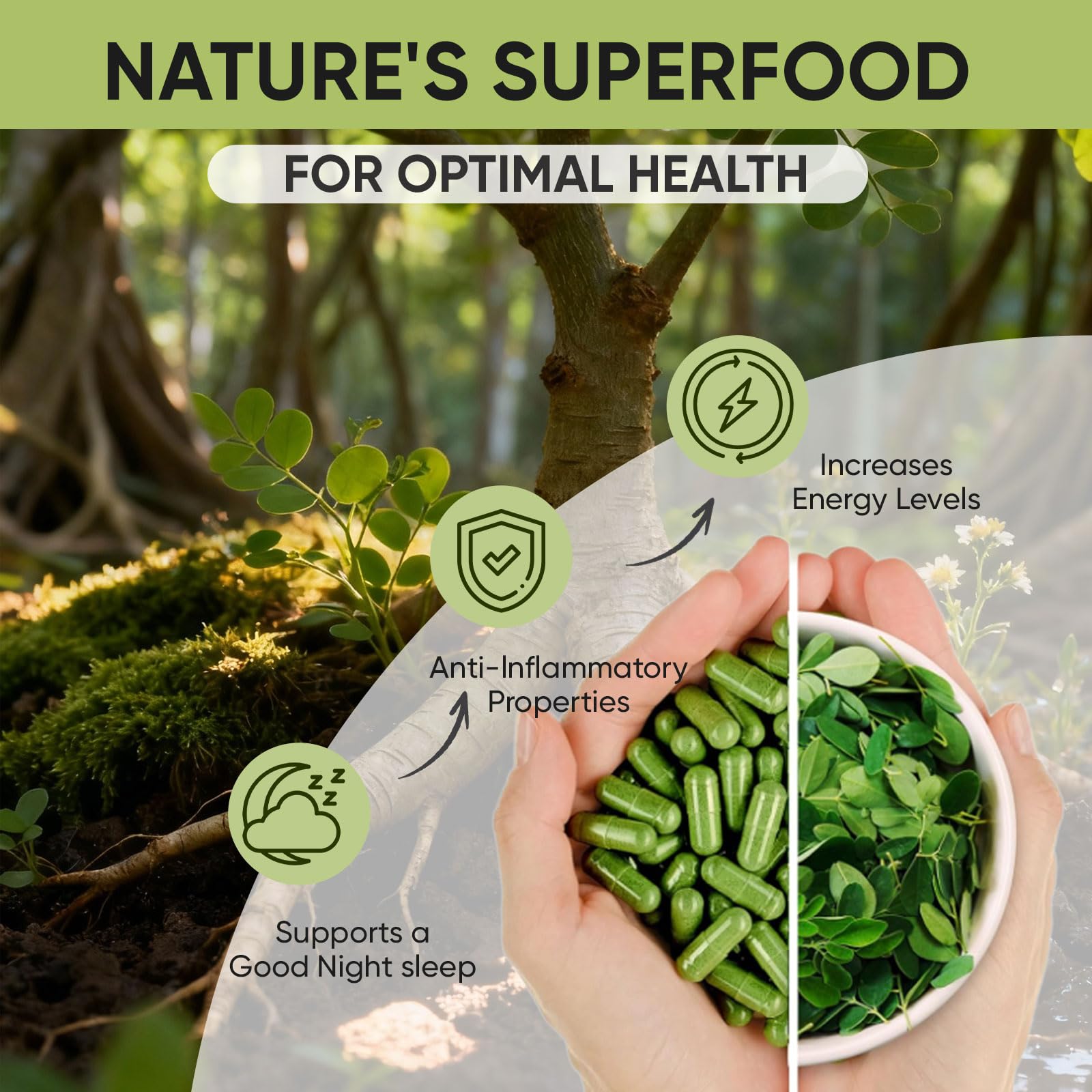 Daily on-the-go moringa capsules