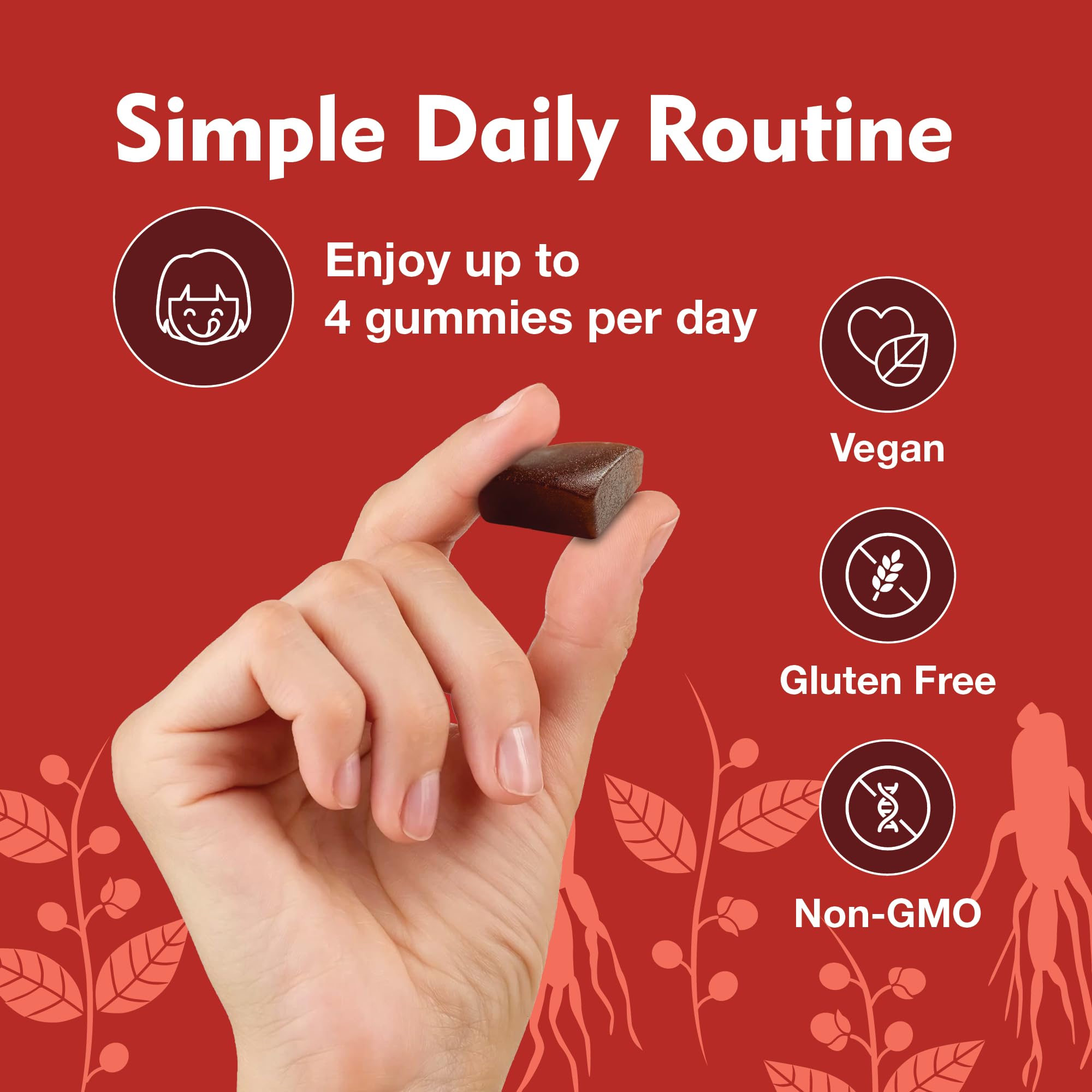 DailyNutra hand holding gummies to show actual size and portability