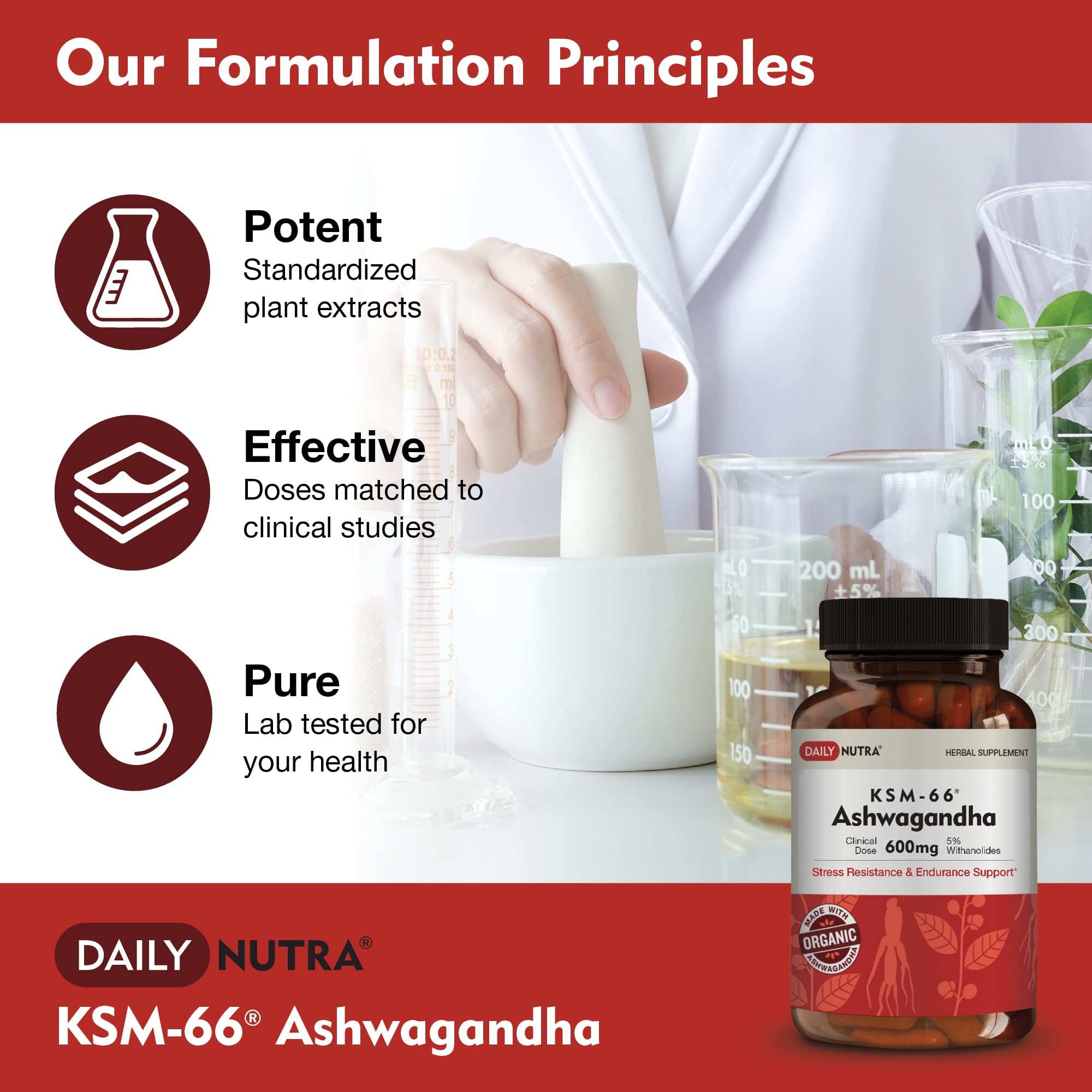 DailyNutra KSM-66 Ashwaganda bottle with daily dose suggestion