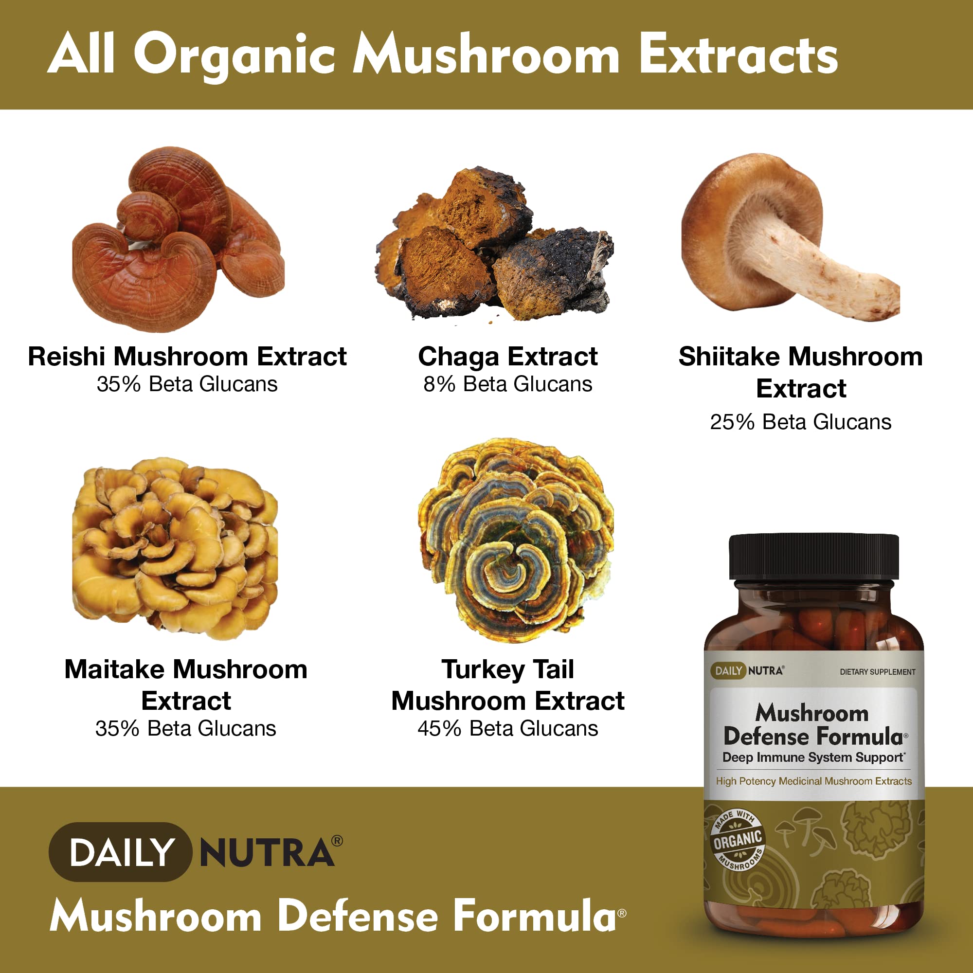 Hot water extraction process with mushroom fruiting bodies