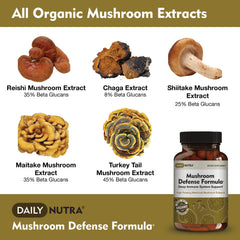 Hot water extraction process with mushroom fruiting bodies