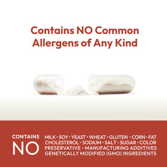 Dairy-free and gluten-free probiotic formula